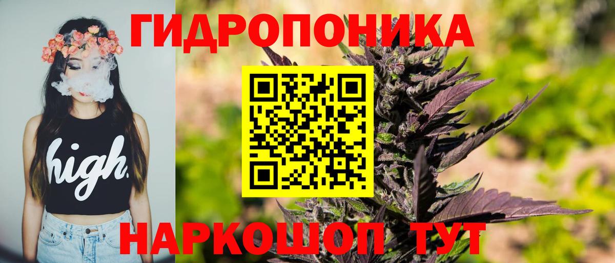 МАРИХУАНА планчик  Шишки марихуана план  Вход с VPN  Шишки марихуана Ganja  Шишки марихуана THC 21%  Нарьян-Мар 